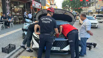 Edremit sokaklarında kedi kovalamacası