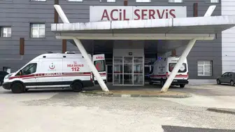 Tekirdağ'da arı saldırısı yaşlı çifti hastaneye düşürdü