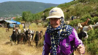 94 yaşındaki Emine Nine 90 yıldır dağların hakimi