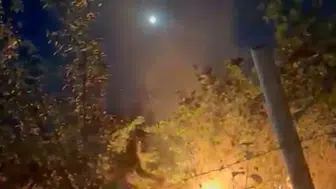 Zonguldak Alaplı’da fındık bahçeleri yanmaktan son anda kurtuldu