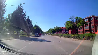 Trafiğin ortasında kalan kaplumbağayı kurtardı