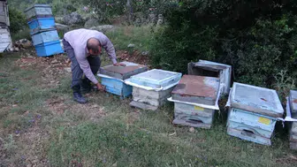 Kozan arıcıları bal mesaisi için Kayseri yaylalarına göç ediyor