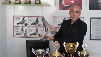 Bin kilometreyi bir günde uçan şampiyon güvercin evine döndü