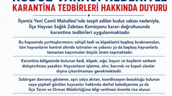 Van Edremit’te kuduz karantinası Hayvanlar sokağa çıkamayacak