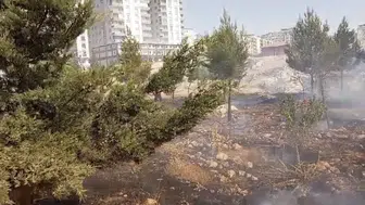 Mardin yangınlarla boğuşuyor