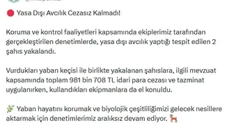Kaçak avcılara yaban keçisi faturası ağır oldu