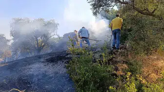 Bozdoğan’da alevler evlerin kapısına dayandı