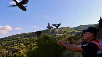 Tokat kırsalında yaban hayatı için yeni adım