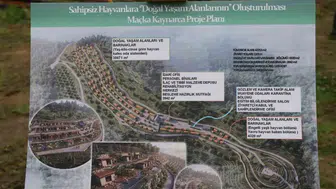 Trabzon sokak hayvanları için 57 dönümlük doğal yaşam alanı kuruyor