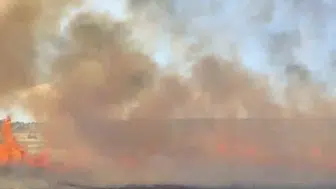 Balıkesir Altıeylül’de arazide korkutan yangın