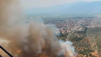 Nazilli zeytinliklerinde öğleden sonra başlayan yangın paniği