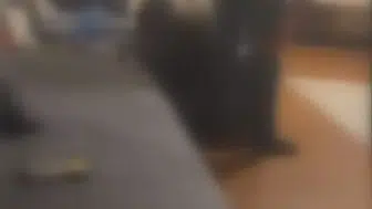Katil zanlısının geçmişindeki şiddet dolu görüntüler ortaya çıktı