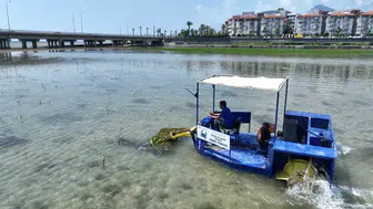 Antalya Boğaçayı’nda sucul bitki temizliği başladı