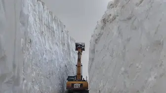 Yüksekova dağlarında temmuz ayına rağmen kar mesaisi sürüyor