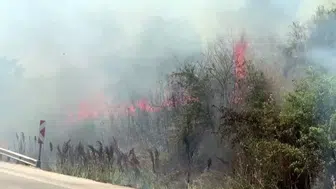 Karacabey yolunda yangın paniği yaşandı