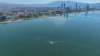 İzmir Körfezi kirlilikle boğuşuyor