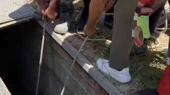 Bodrum’da arıtma boşluğuna düşen eşeği itfaiye kurtardı