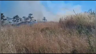 Silivri'de korkutan otluk yangını kontrol altına alındı