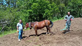 Hizan’ın sarp yamaçlarında tarım at ve karasabanla sürüyor