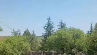 Harput mezarlıklarında sürpriz ziyaretçiler