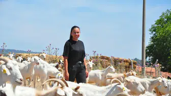 Kurumsal hayatı bıraktı köye döndü kendi peynir markasını kuruyor