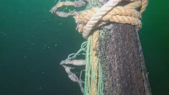 Marmara Denizi’ndeki sessiz katiller temizleniyor