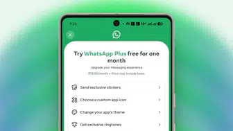 WhatsApp Plus dönemi başladı Ücretli abonelik ne getiriyor?