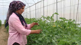 Adanalı kadınlar çorak tarlaları altın değerinde bahçelere dönüştürdü