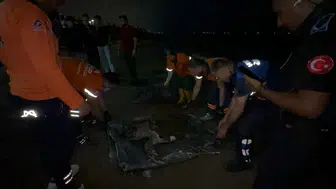 Mersin sahilinde üzücü manzara Bir caretta caretta daha öldü