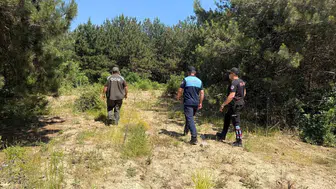 Dilovası ormanlarında yangın alarmı