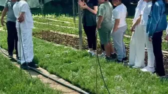 Elazığlı öğrenciler fidanların nasıl yetiştiğini yerinde keşfetti?