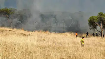 Ayvalık Sakarya Mahallesi’nde ormanlık alana yakın yangın korkuttu