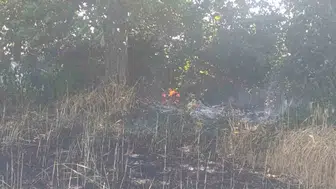 Çanakkale Helvacı köyünde tarla yangını paniği