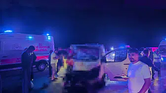 Bingöl yolunda gece vakti at kazası bir can aldı