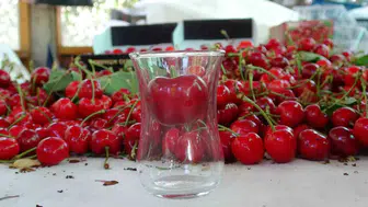 Lapseki’de dev kiraz hasadı başladı