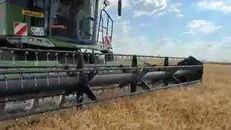 Konya ovasında biçerdöverler tarlaya indi