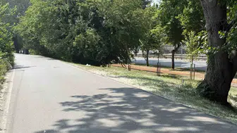 Adapazarı'nda park halindeki araçta şüpheli ölüm