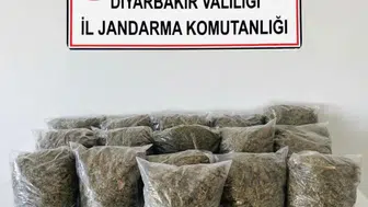 Diyarbakır jandarmasından 56 noktaya uyuşturucu baskını