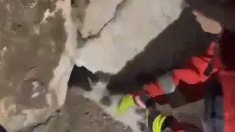 Yatağan parkında duvar arasına sıkışan kedi kurtarıldı