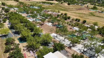 Adıyaman Tut ilçesinde dut bereketi başladı