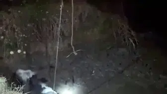 Edirne’de köylünün ineği çukura sıkıştı