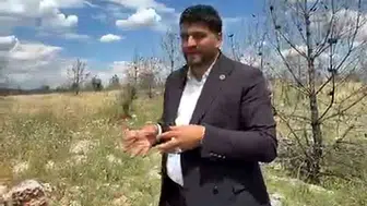 Arabanlılar orman yangınlarına karşı acil yol çağrısı yaptı