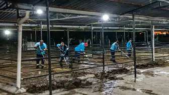 Efeler bayramın ardından hızla temizlendi