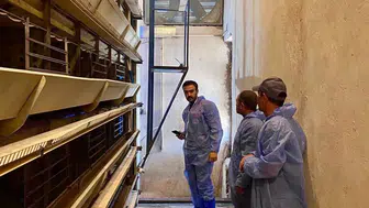 Bolvadin’de tavuk çiftliklerine sıkı biyogüvenlik denetimi