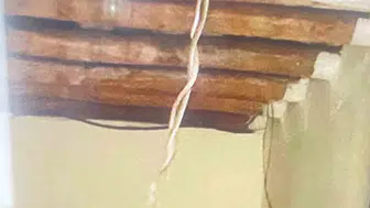 Hakkari’de toprak evde yılan korkusu