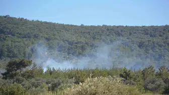 Cunda Adası'nda korkutan yangın büyümeden söndürüldü