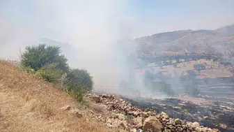 Mardin Yeşilli’de orman yangını paniği