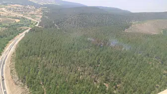 Bursa Yörükler’de orman yangını paniği