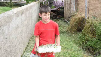 Yozgat'ta dolu vurdu emekler boşa gitti