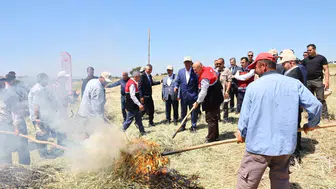 Adıyaman tarlalarında dumanlı hasat dönemi başladı